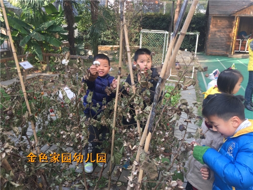附件：IMG_7893_鍓湰1.jpg