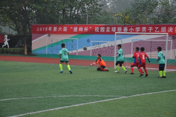 附件：DSC_3881.JPG