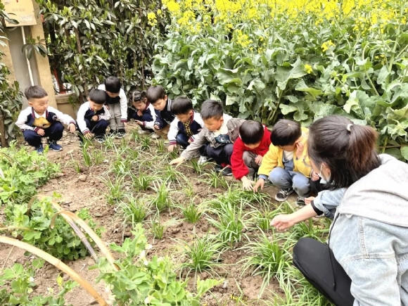 附件:mmexport1653009950999.jpg 附件:mmexport1653009950999.jpg