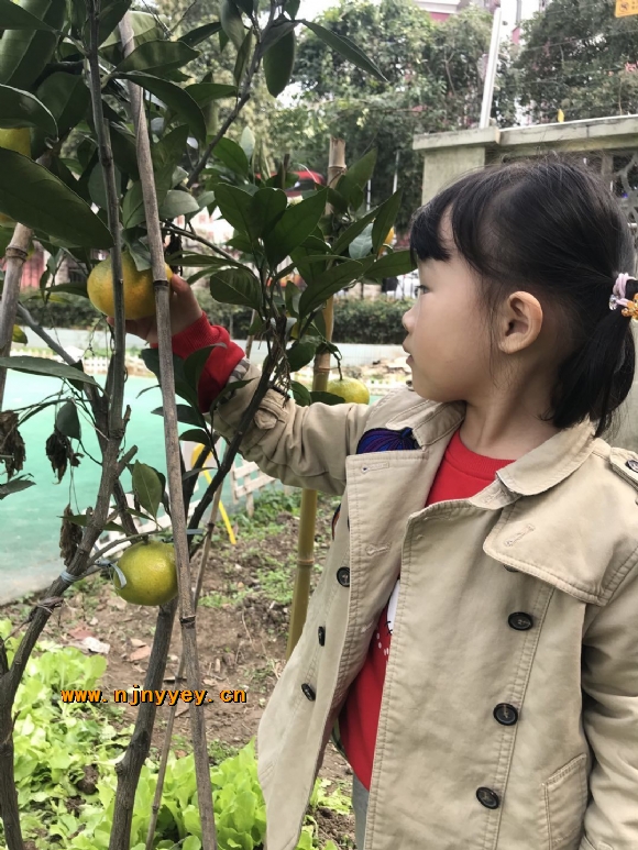 附件：1.jpg