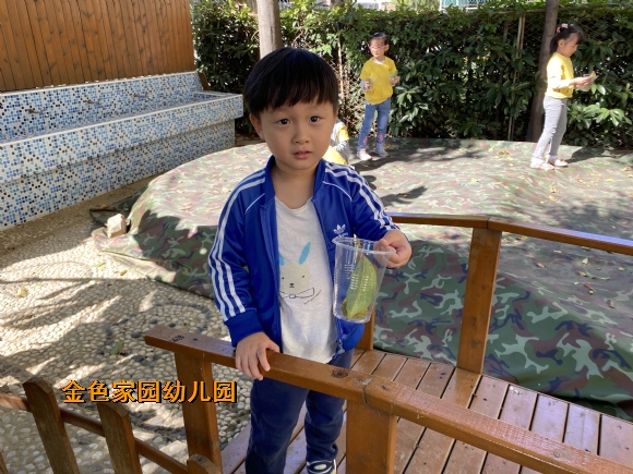 附件：fff6003ae29d6cf65f12a4038c4a70f5.jpg