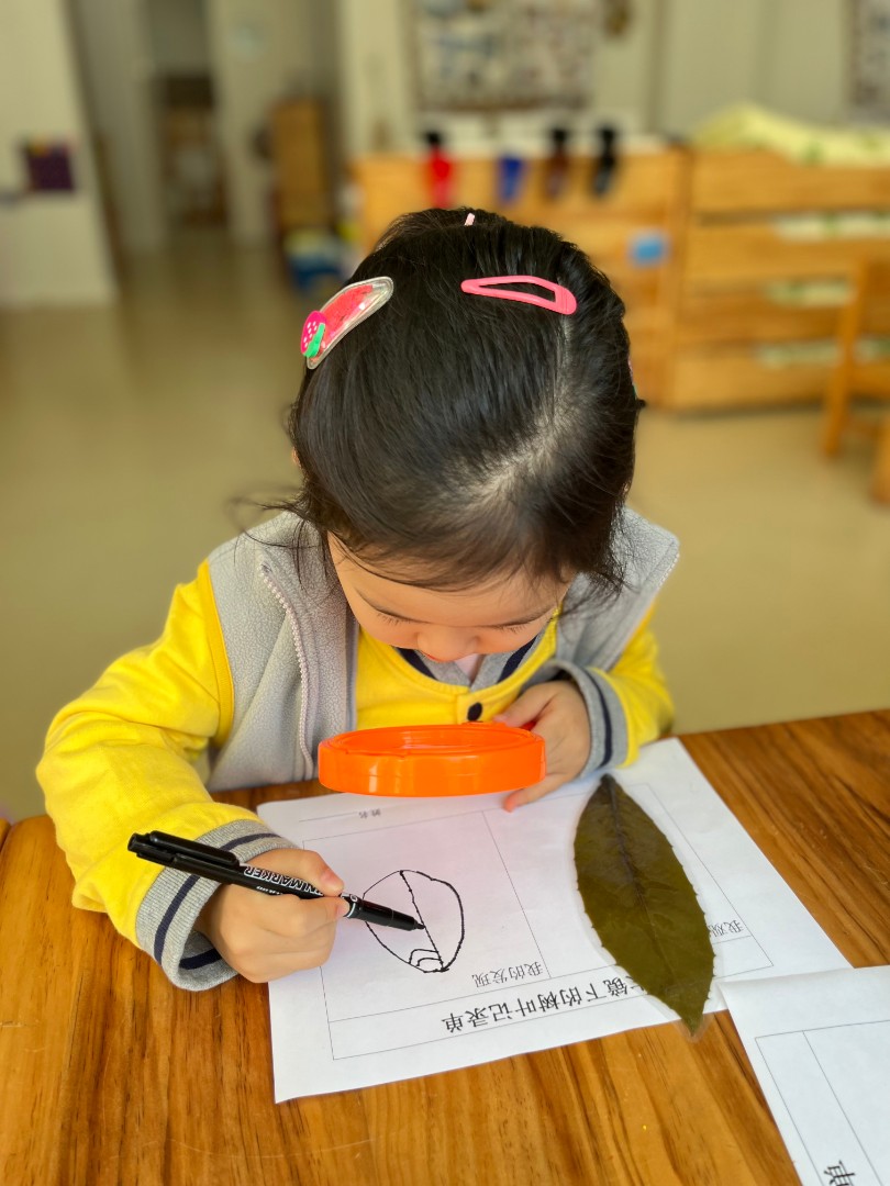 20211115131218065.jpg 微信图片_20211115131147.jpg