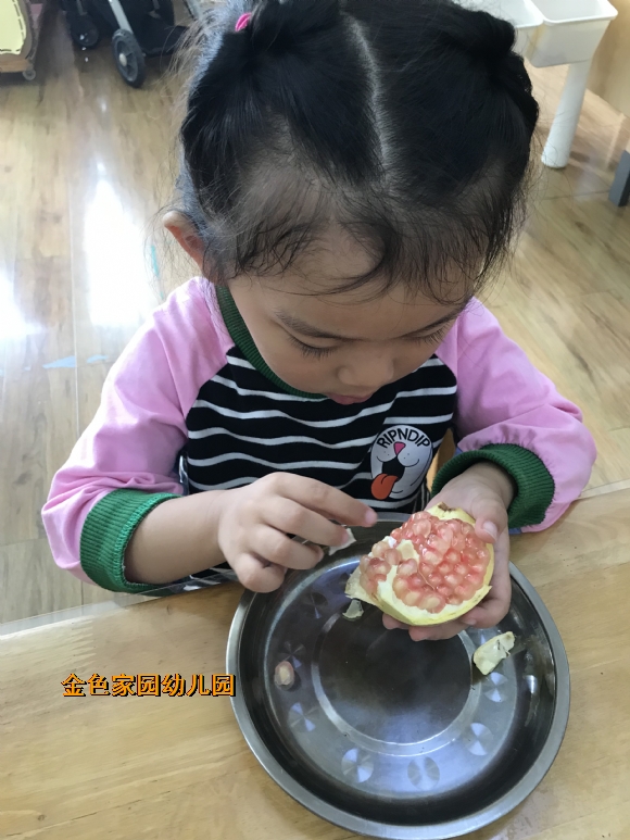附件：IMG_1177.JPG