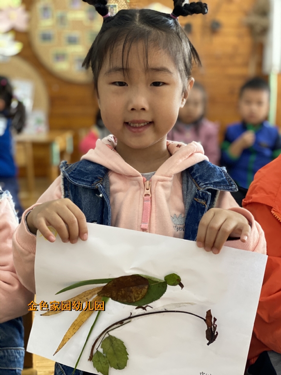 附件：IMG_4352.JPG