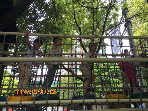 附件：IMG_1926.JPG