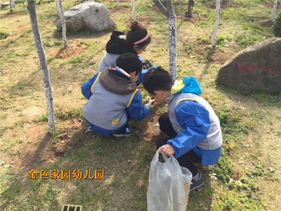 附件：IMG_0175.JPG