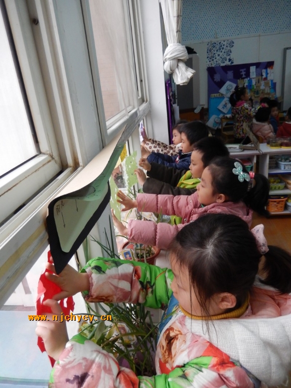 附件：conew_dscn2063.jpg