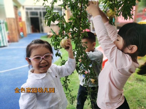 附件：QQ图片20231011163522.jpg