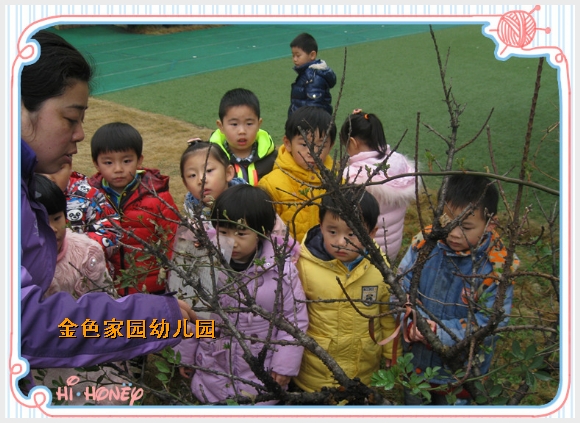照片 038_副本.jpg