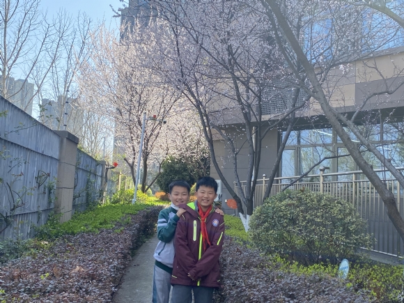 附件：86135F9B299315AC7A50293478063DA7.png