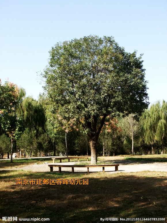 附件：6756121_164607832000_2.jpg