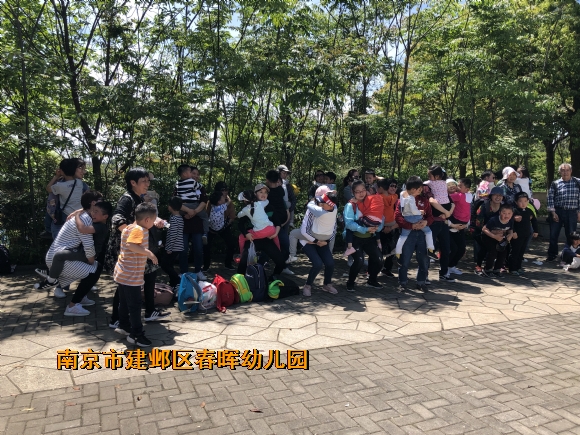 附件：IMG_4129.JPG