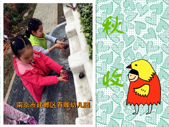 附件：IMG_8065.JPG