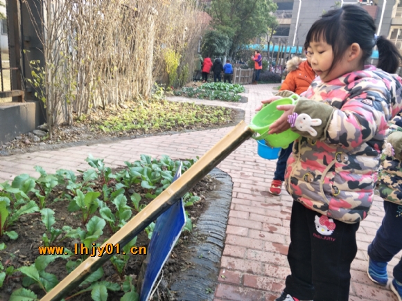 附件：IMG20171220093059.jpg