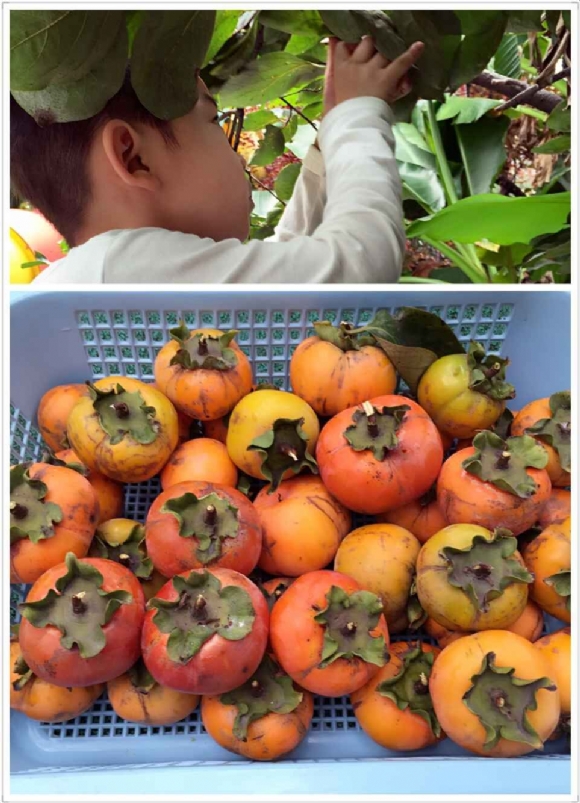 附件:QQ鍥剧墖20150930164940.jpg 附件:QQ鍥剧墖20150930164940.jpg