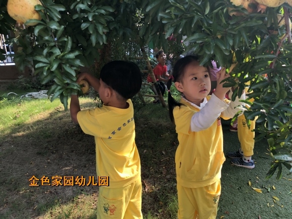 附件：IMG_1272.JPG