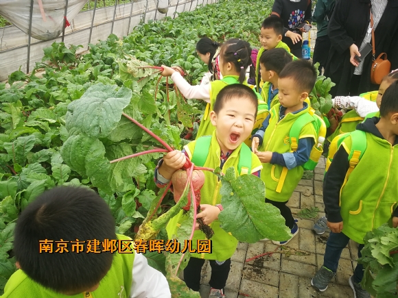 附件：IMG_20181016_102042_1.jpg
