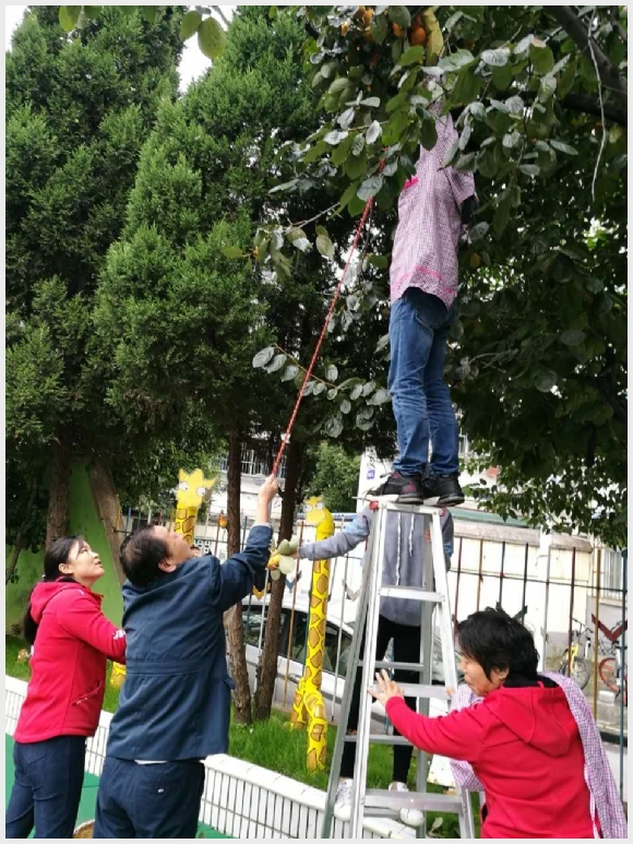 附件:XLIS6919.jpg 附件:XLIS6919.jpg
