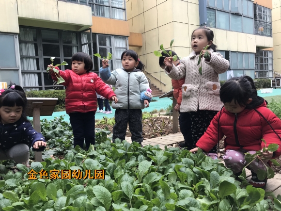 附件：IMG_4312.JPG