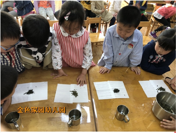 附件：IMG_1006.JPG