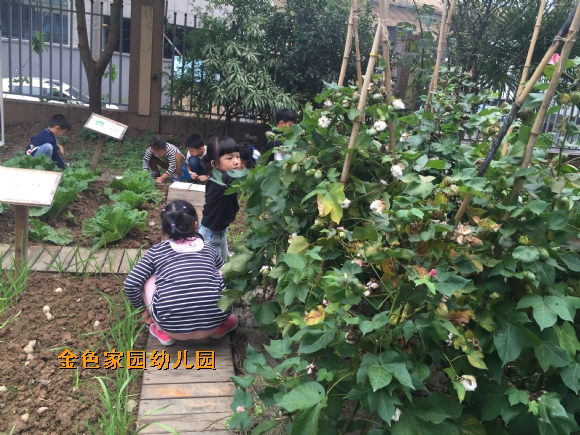 附件：IMG_3007.JPG