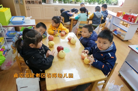 附件：DSC02885.JPG