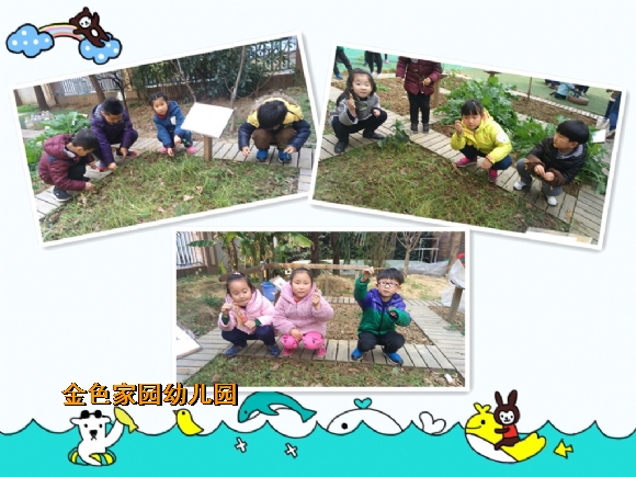 附件：WER.jpg