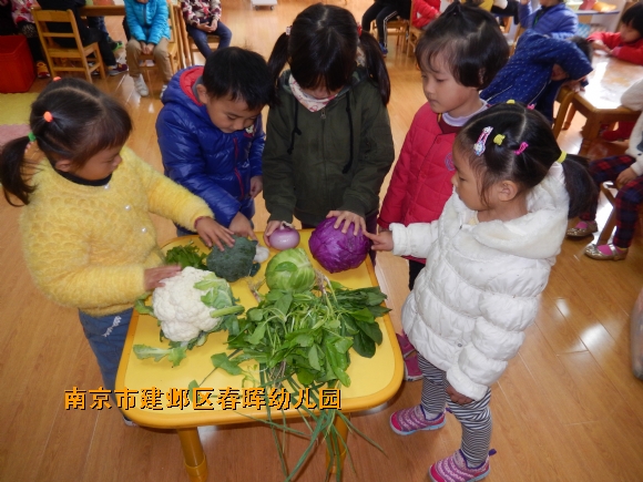 附件：DSCN4294.JPG