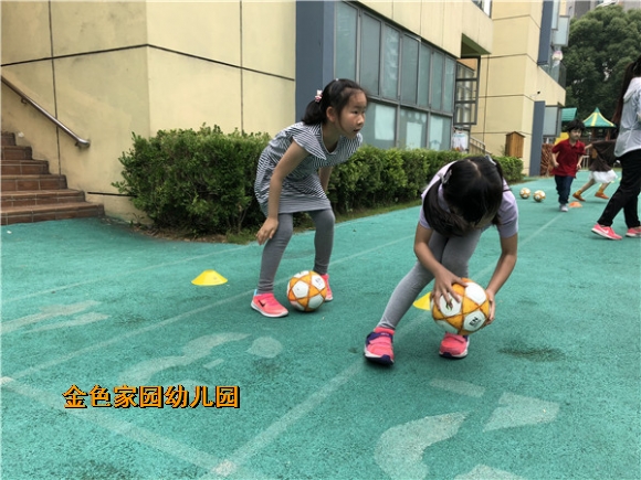 附件：IMG_3369.jpg