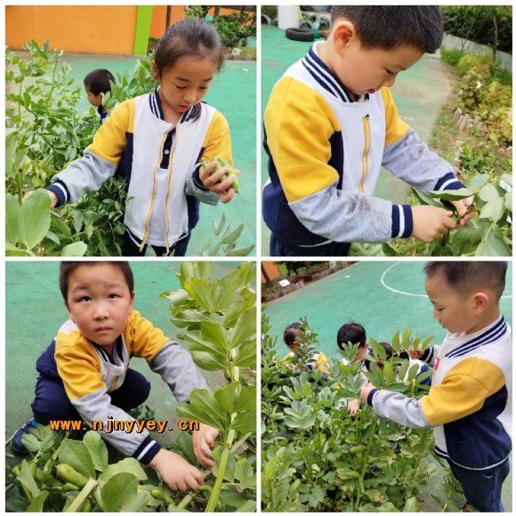 附件：6.jpg