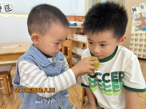 附件：IMG_5575.JPG