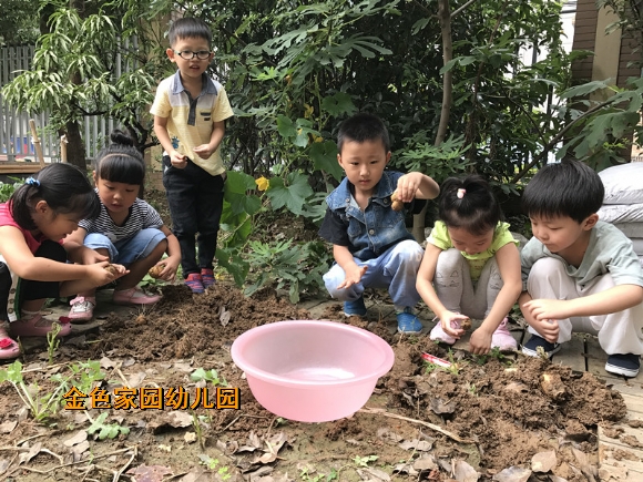 附件：IMG_5988.JPG