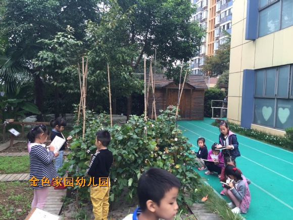 附件：IMG_3011.JPG