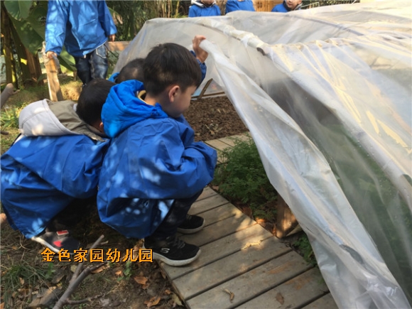 附件：IMG_8178.JPG