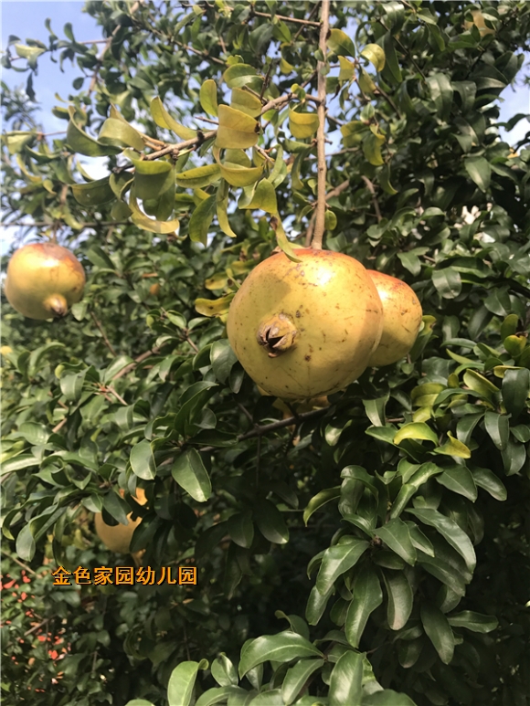 附件：1.JPG