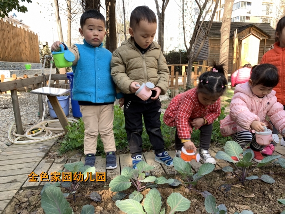 附件：IMG_2001.JPG