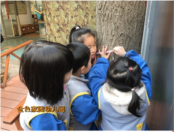 附件：IMG_1579.JPG