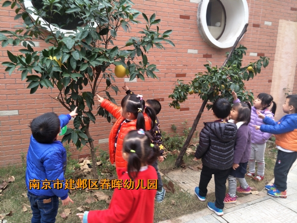 附件：IMG20171121151427.jpg