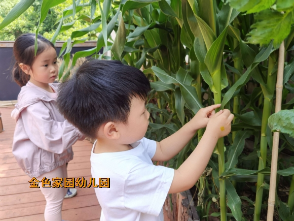 附件：4nd99r0fyck1652860719941.jpg