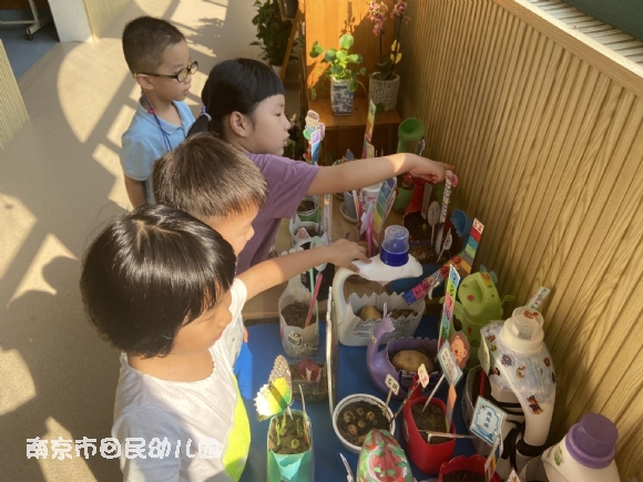 附件：3.jpg