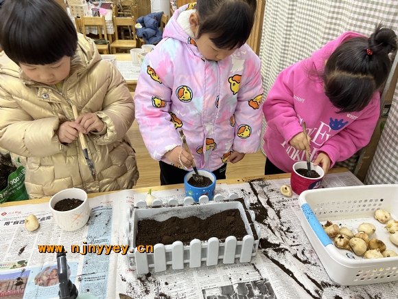 附件：IMG_4684(1).JPG
