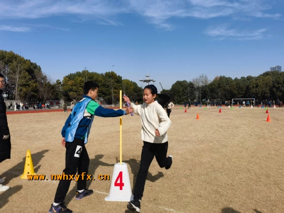 附件：图片4.png