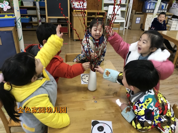 附件：IMG_4770.JPG