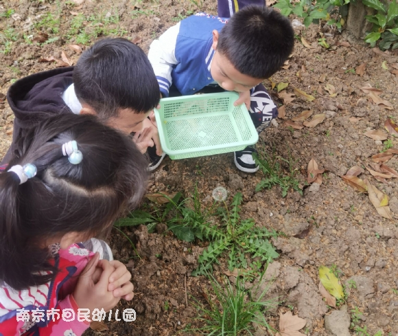 附件：qq_pic_merged_1619085384697.jpg