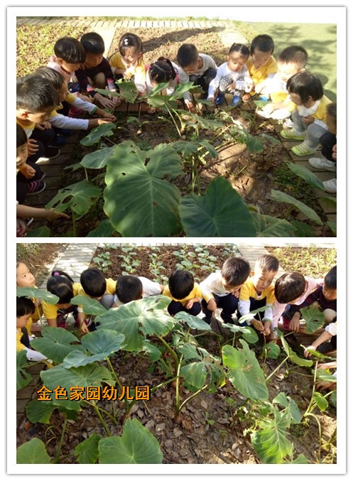 附件：1.jpg