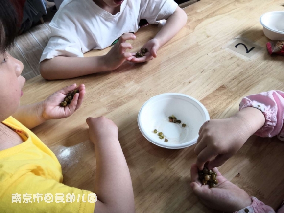 附件：IMG_20190513_095545.jpg