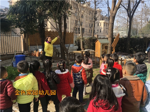 附件：IMG_1738.jpg