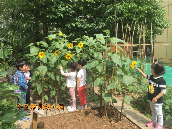 附件：IMG_2574.JPG
