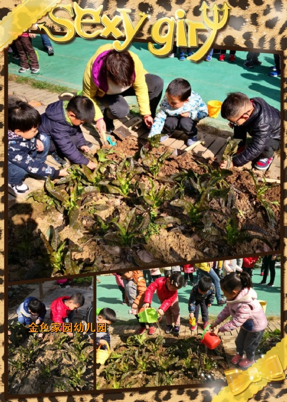 附件：1.jpg