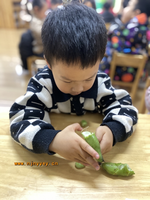 附件：IMG_3930.JPG